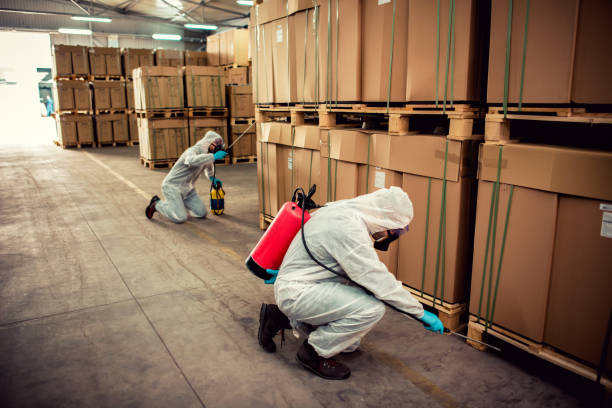 Best Pest Control Near Me in Ashburn, VA