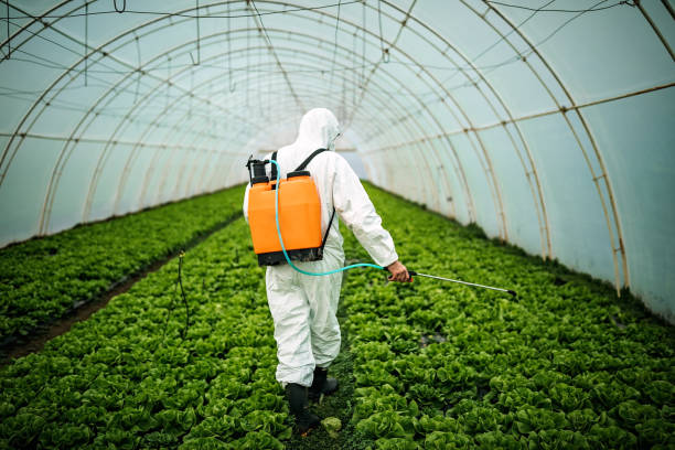 Best Pest Removal Services  in Ashburn, VA