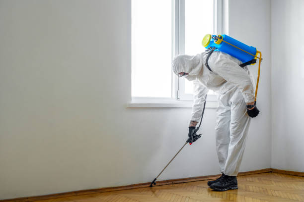 Best Affordable Pest Control Services  in Ashburn, VA