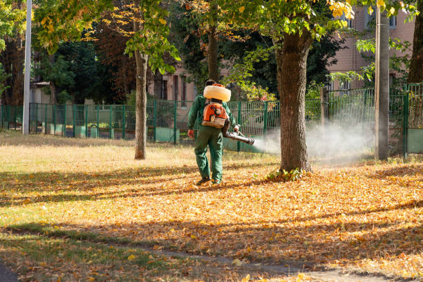 Best Rodent Control Near Me  in Ashburn, VA