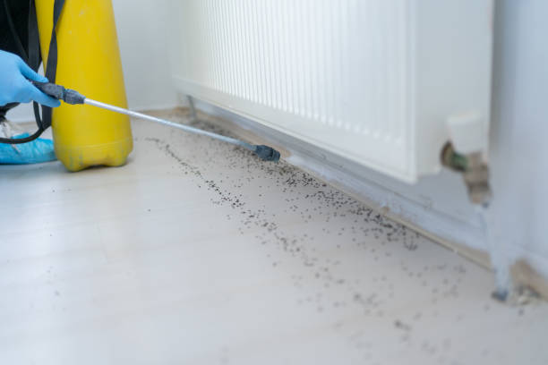 Pest Control for Restaurants in Ashburn, VA